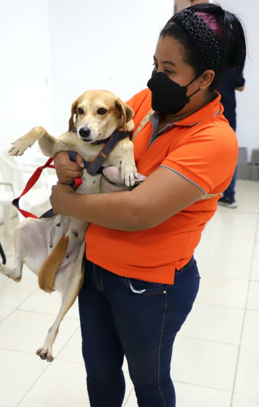 Jornada de esterilización gratuita en la 24 de Diciembre