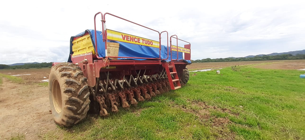 Continúa siembra de arroz para este ciclo agrícola 2022-2023