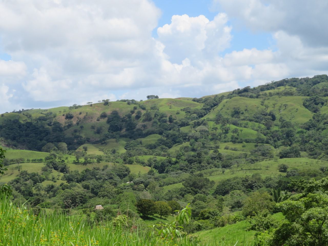 Scotiabank abre convocatoria del Net Zero Research Fund