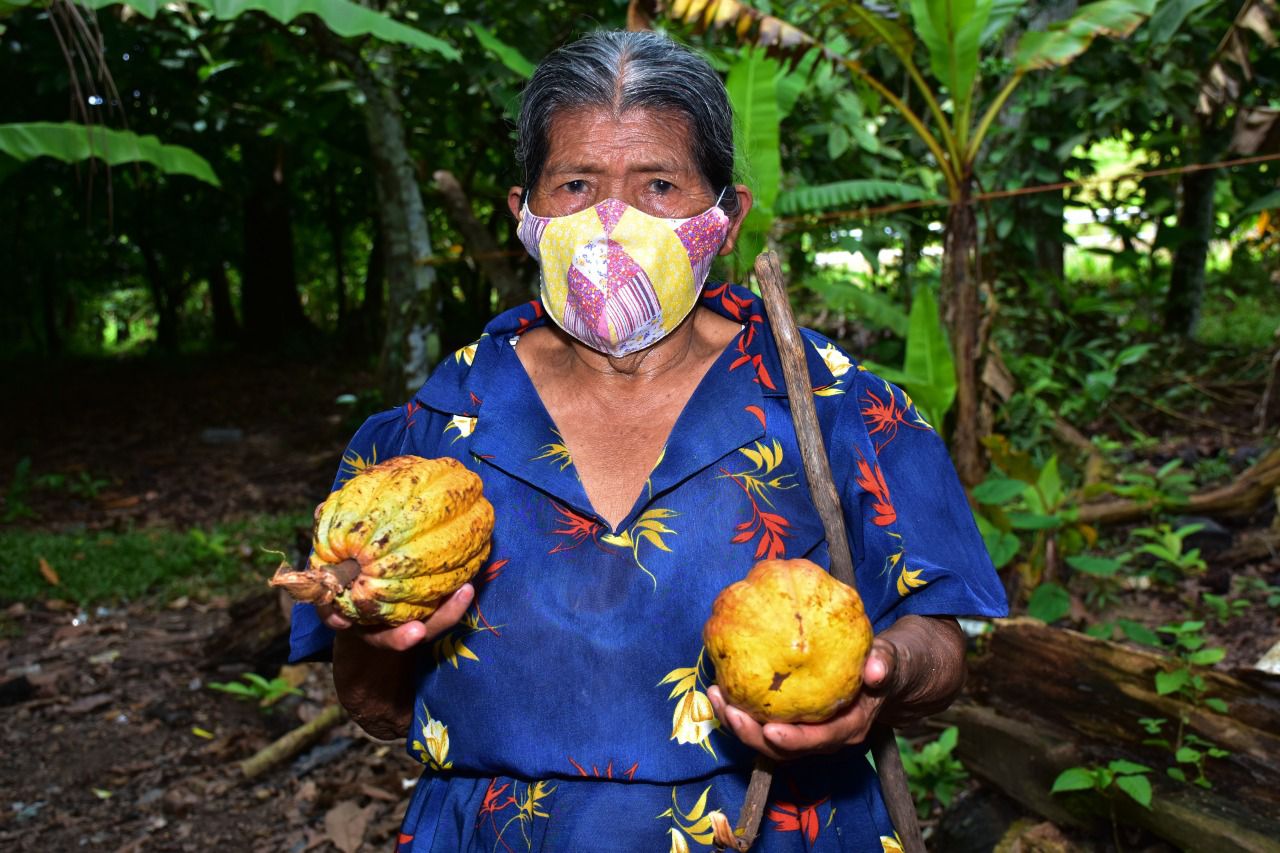 La abuela de 73 años que desarrolla su emprendimiento entre matas de cacao