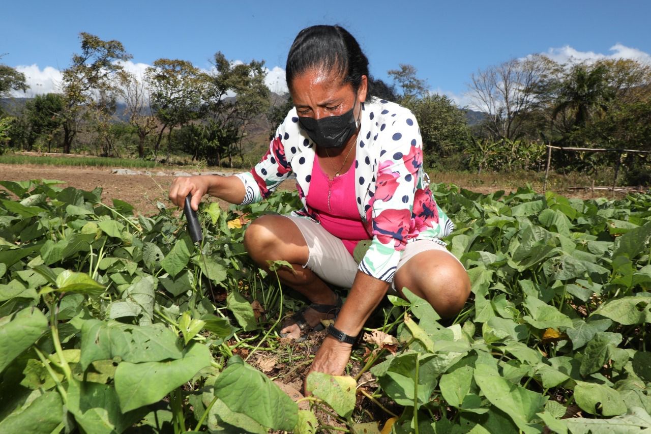 La mujer que está produciendo alimentos en tiempo de pandemia