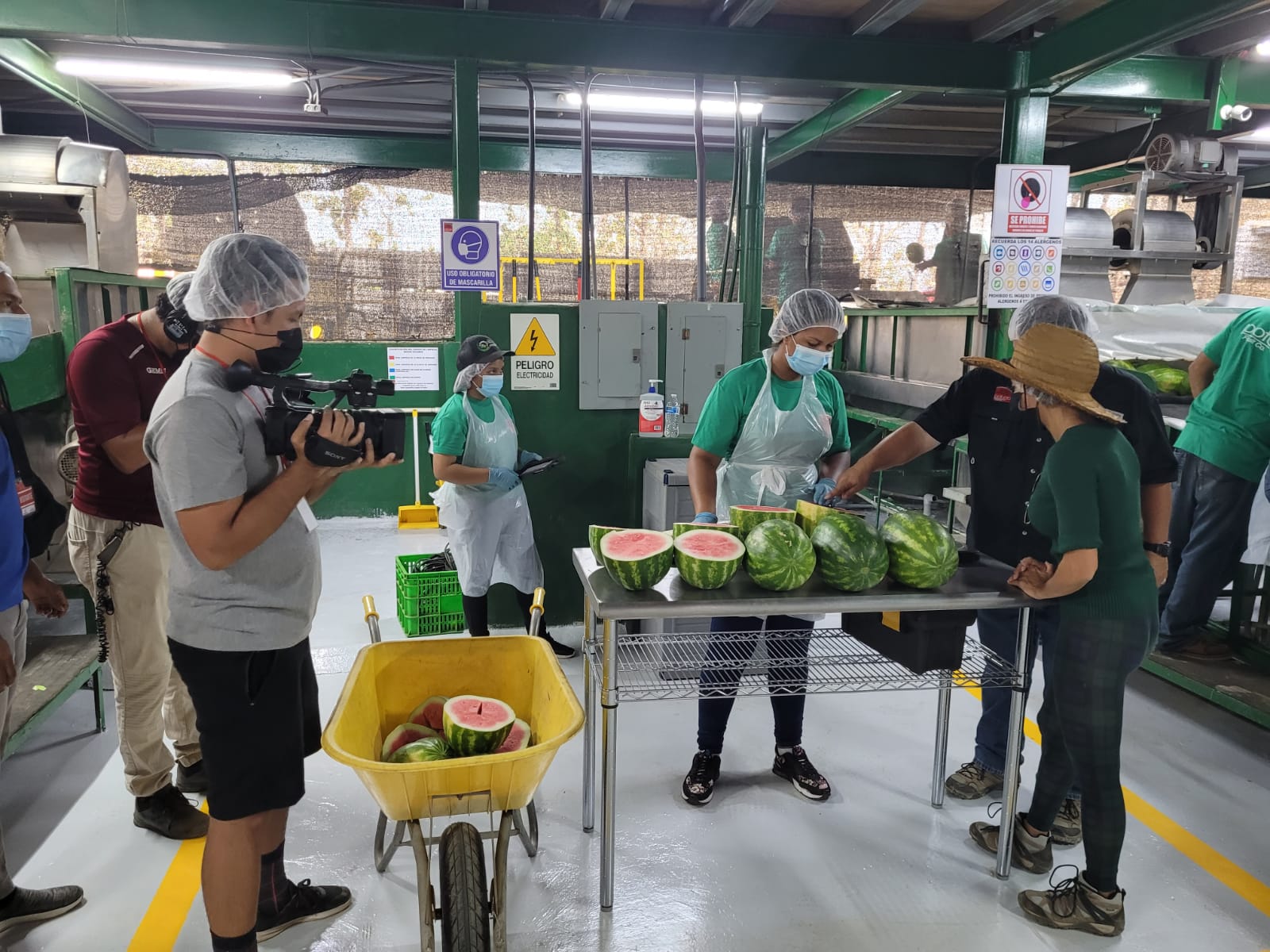 Agroexportaciones panameñas alcanzan los 120 millones de balboas en los cinco primeros meses de año