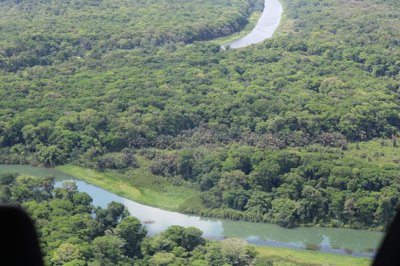 Manglares: industrias de la biodiversidad y servicios a los ecosistemas 