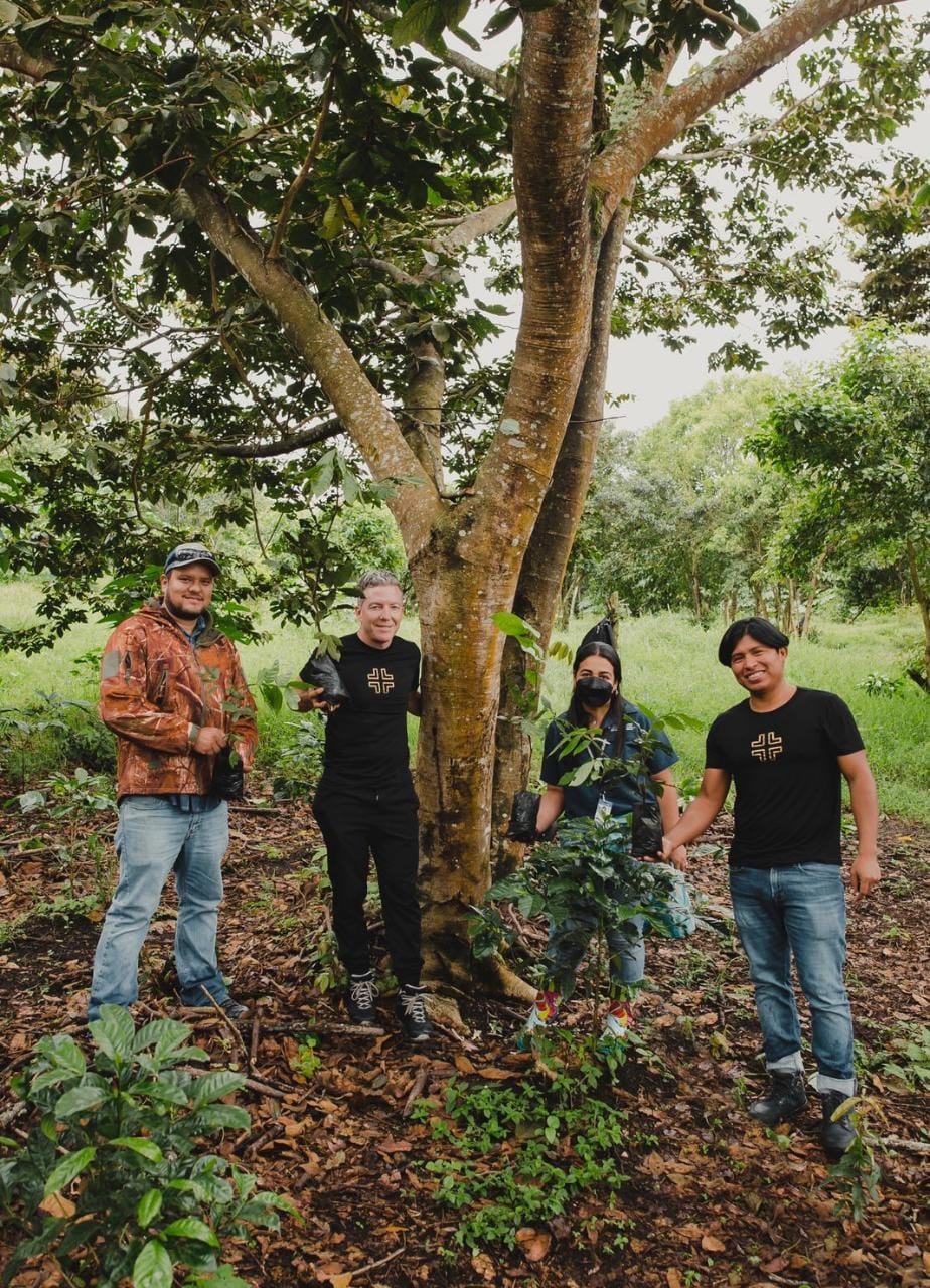 Recuperan la cobertura boscosa en zonas afectadas por IMAVE en volcán