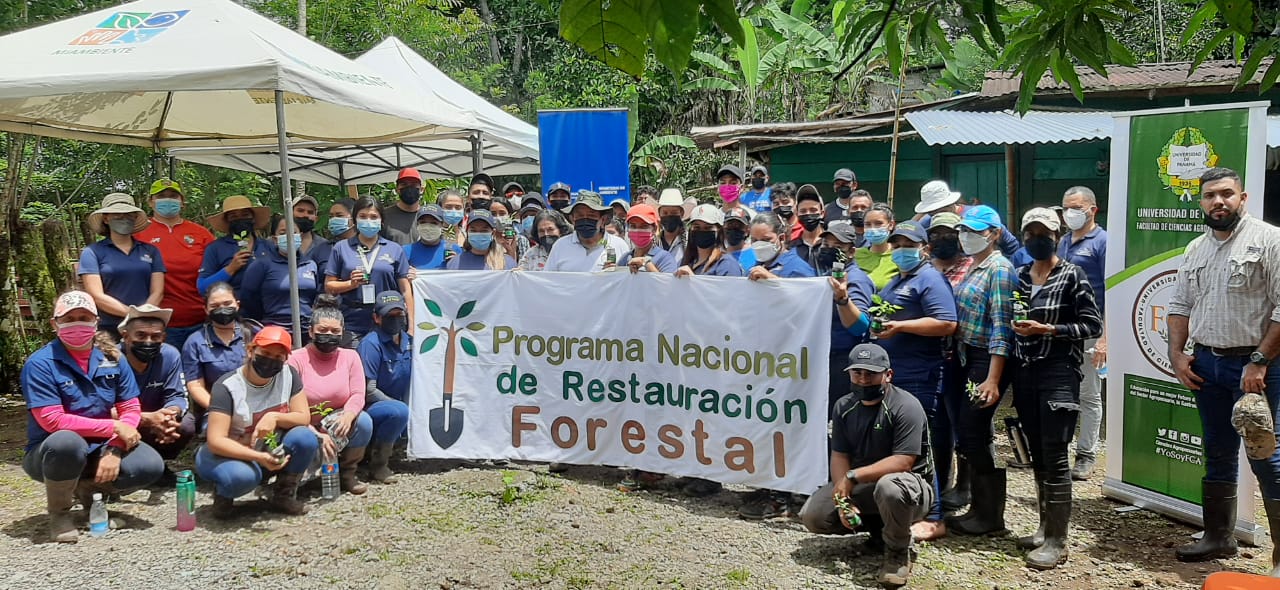 MiAMBIENTE impulsa el fortalecimiento de unas 250 hectáreas reforestadas