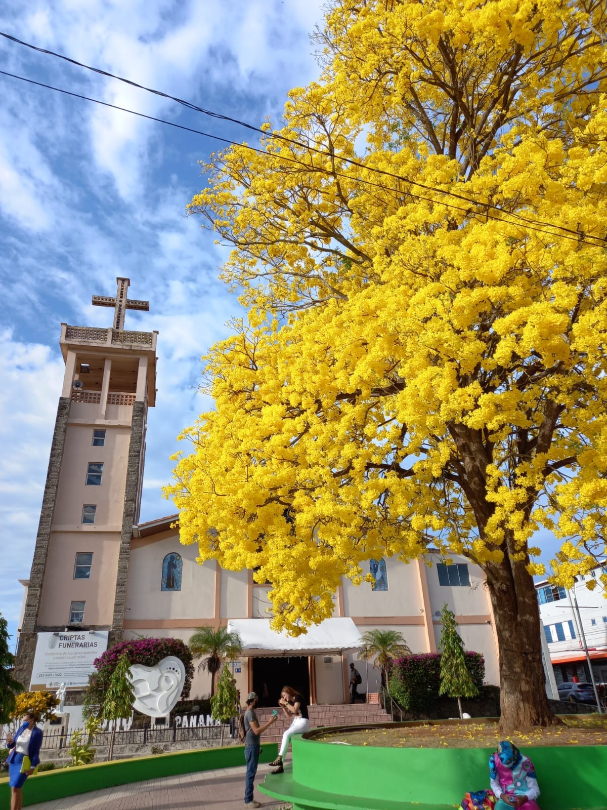 El guayacán y el almendro de montaña son incluidos en el Apéndices II de la CITES