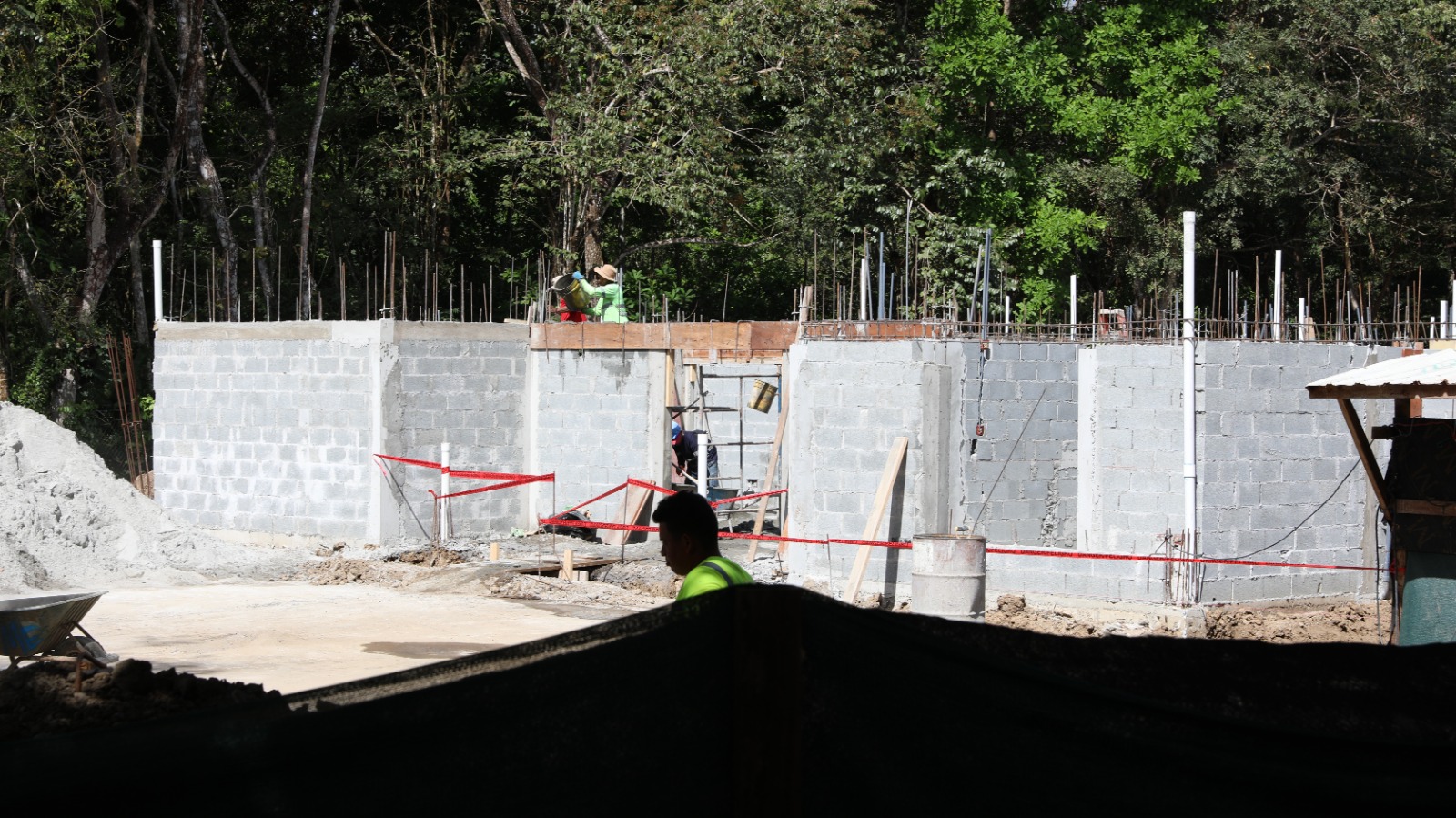 Animalitos silvestren tendrán una clínica veterinaria