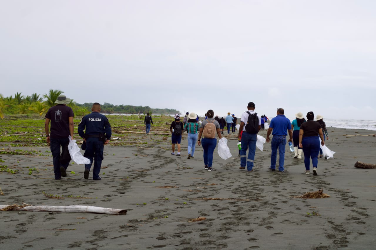 Se unen para recibir a las tortugas marinas que vienen a desovar