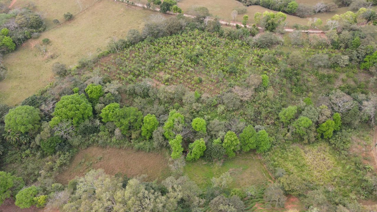 Azuero: cada vez más verde ante proyecto regional de sostenibilidad y resiliencia ambiental
