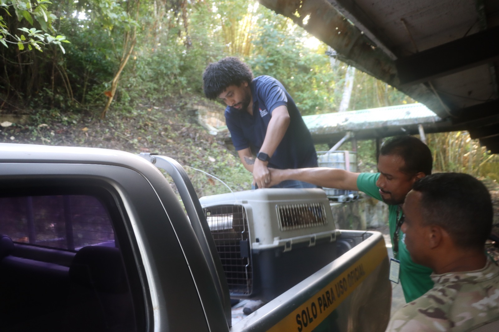 MiAMBIENTE realiza jornada de liberación de fauna silvestre en área protegida