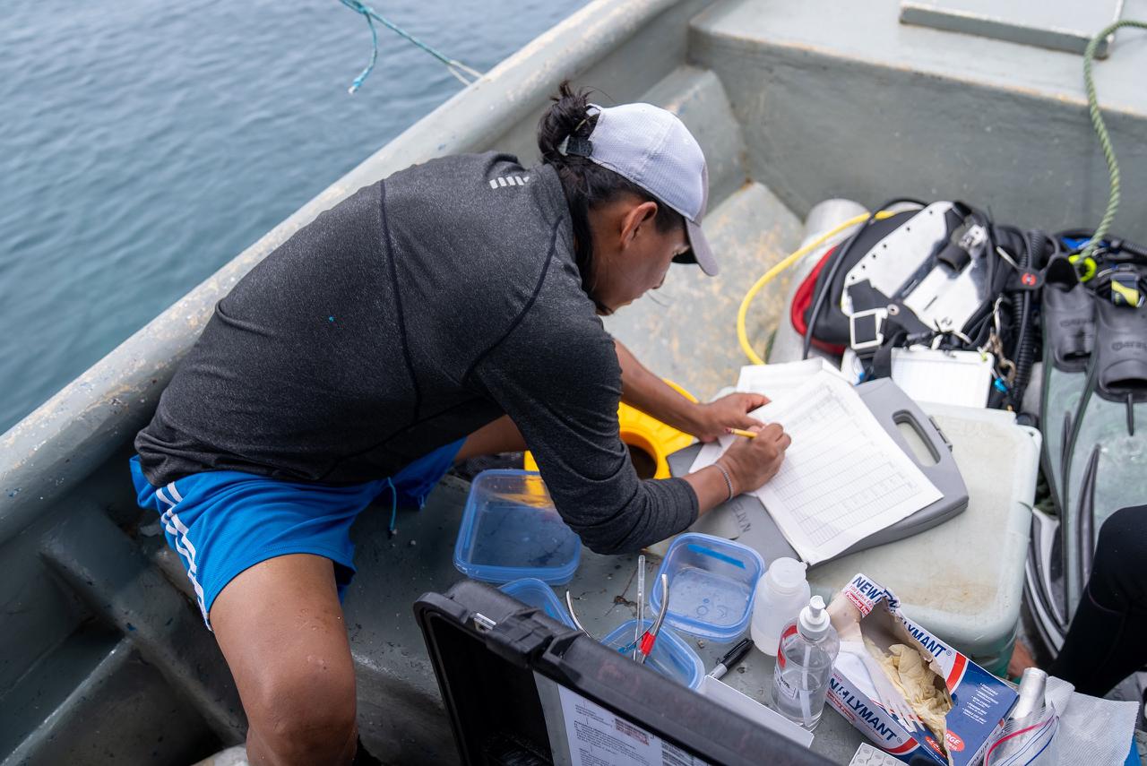 Biólogo marino indígena descifra la evolución de la alimentación de especies hermanas de peces en ambos lados del istmo de Panamá