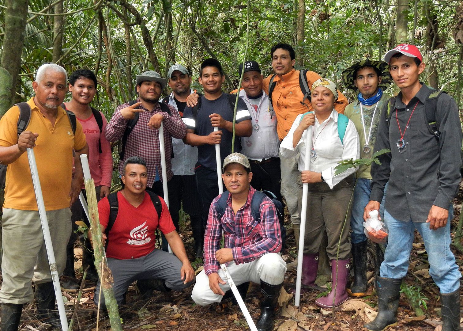 Un estándar global para el almacenamiento de carbono forestal requiere mediciones terrestres
