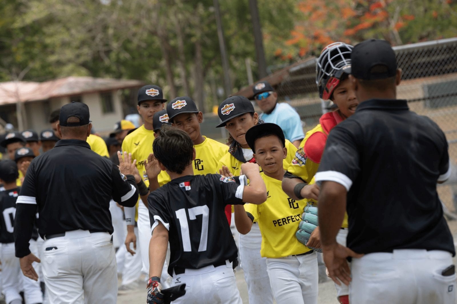 ¡Disfruta del verano en Ciudad del Saber!