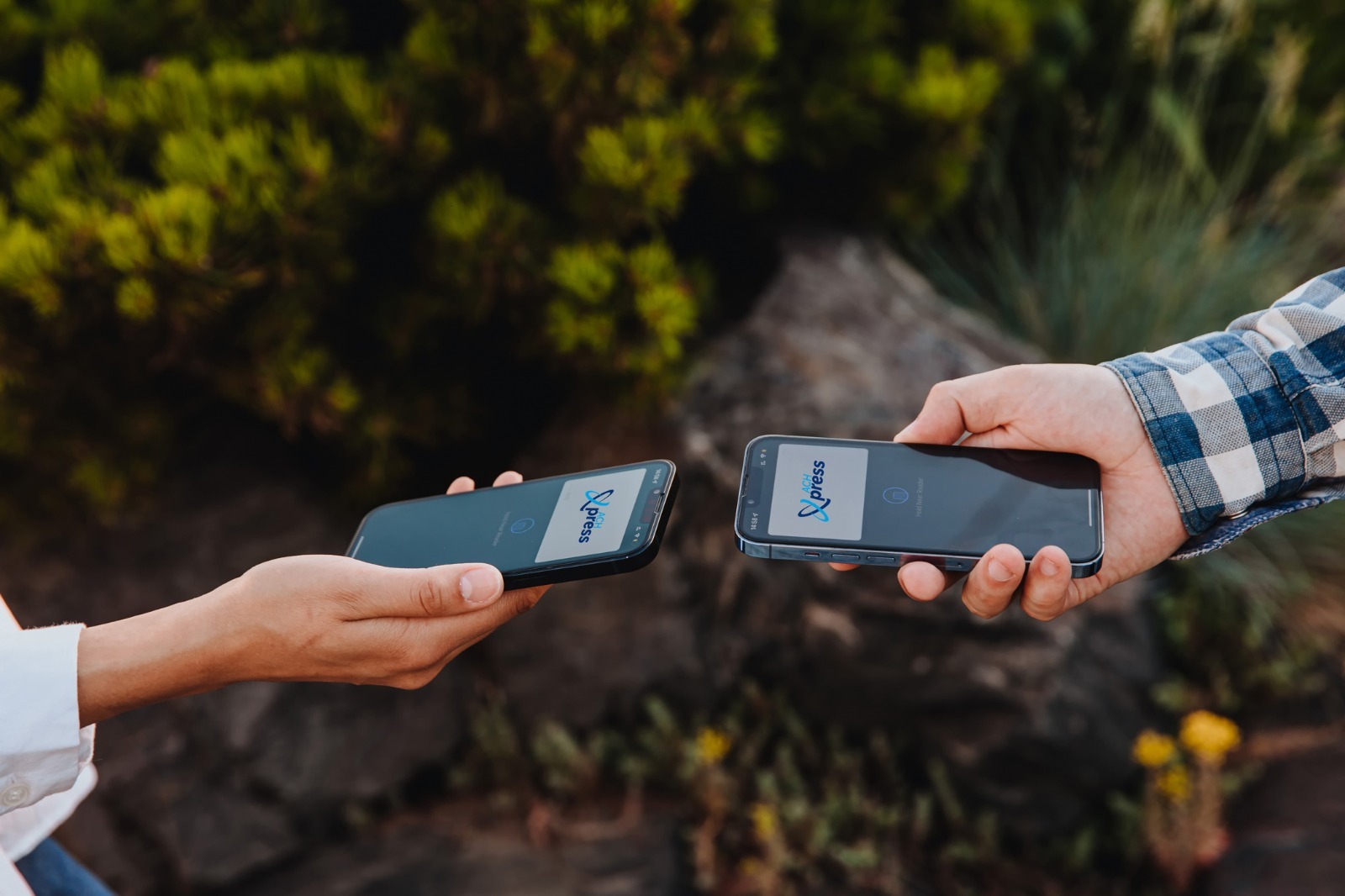 19 Bancos impulsan el crecimiento récord deACH Xpress con +1.7 millones de transferencias en 2024