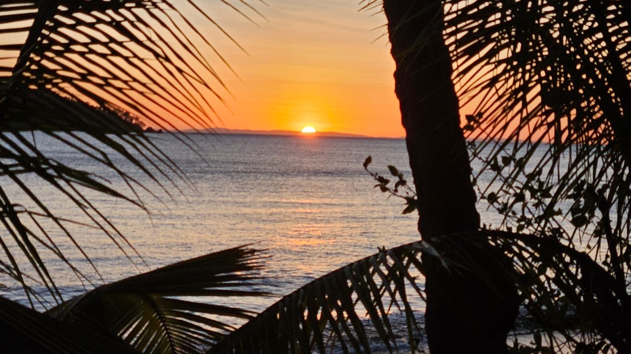 Científicos Panameños lideran investigaciones clave en estuarios y manglares de América Latina