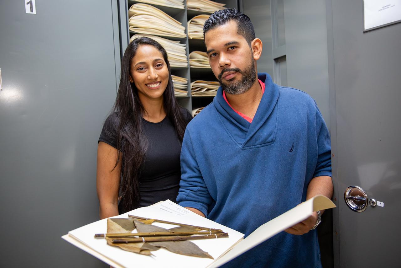 Nuevas especies para la ciencia: 3 de Panamá y 3 de Colombia