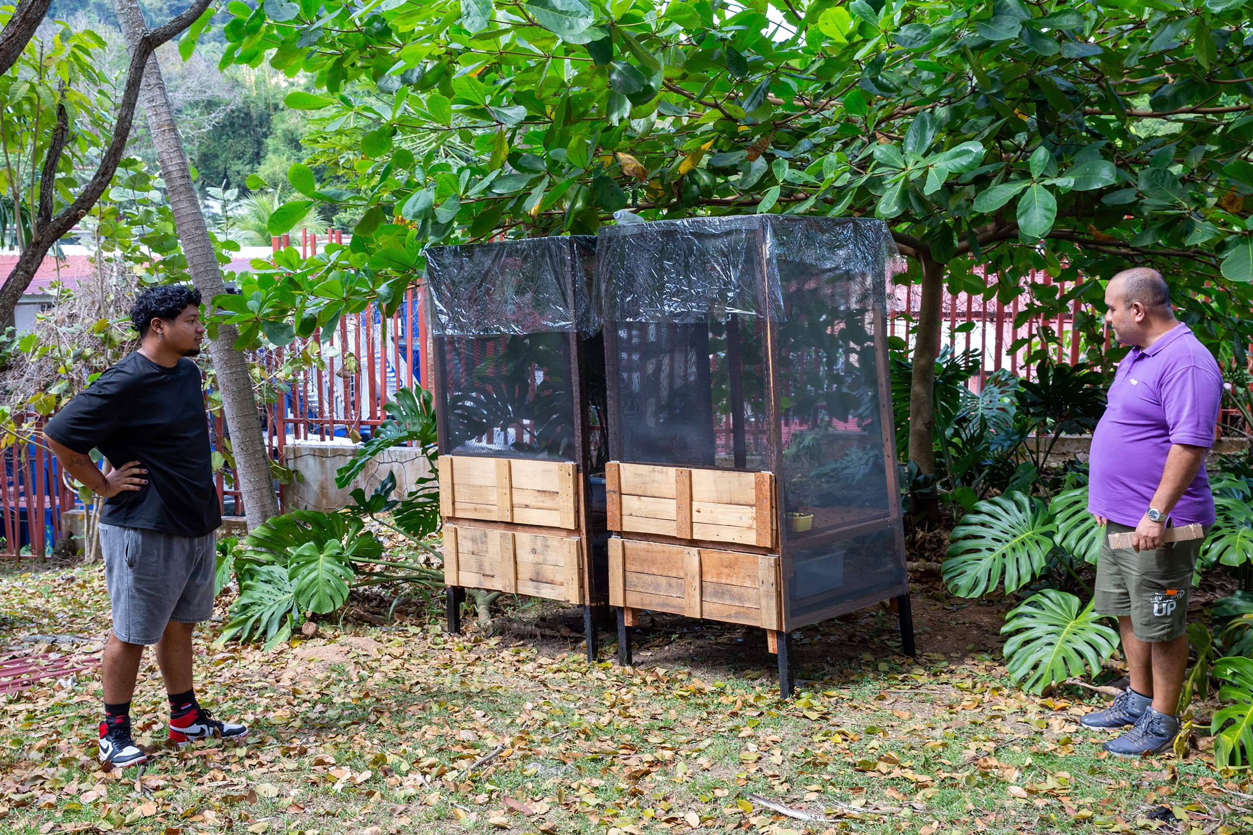 Una mosca podría reducir  los desechos orgánicos en Panamá