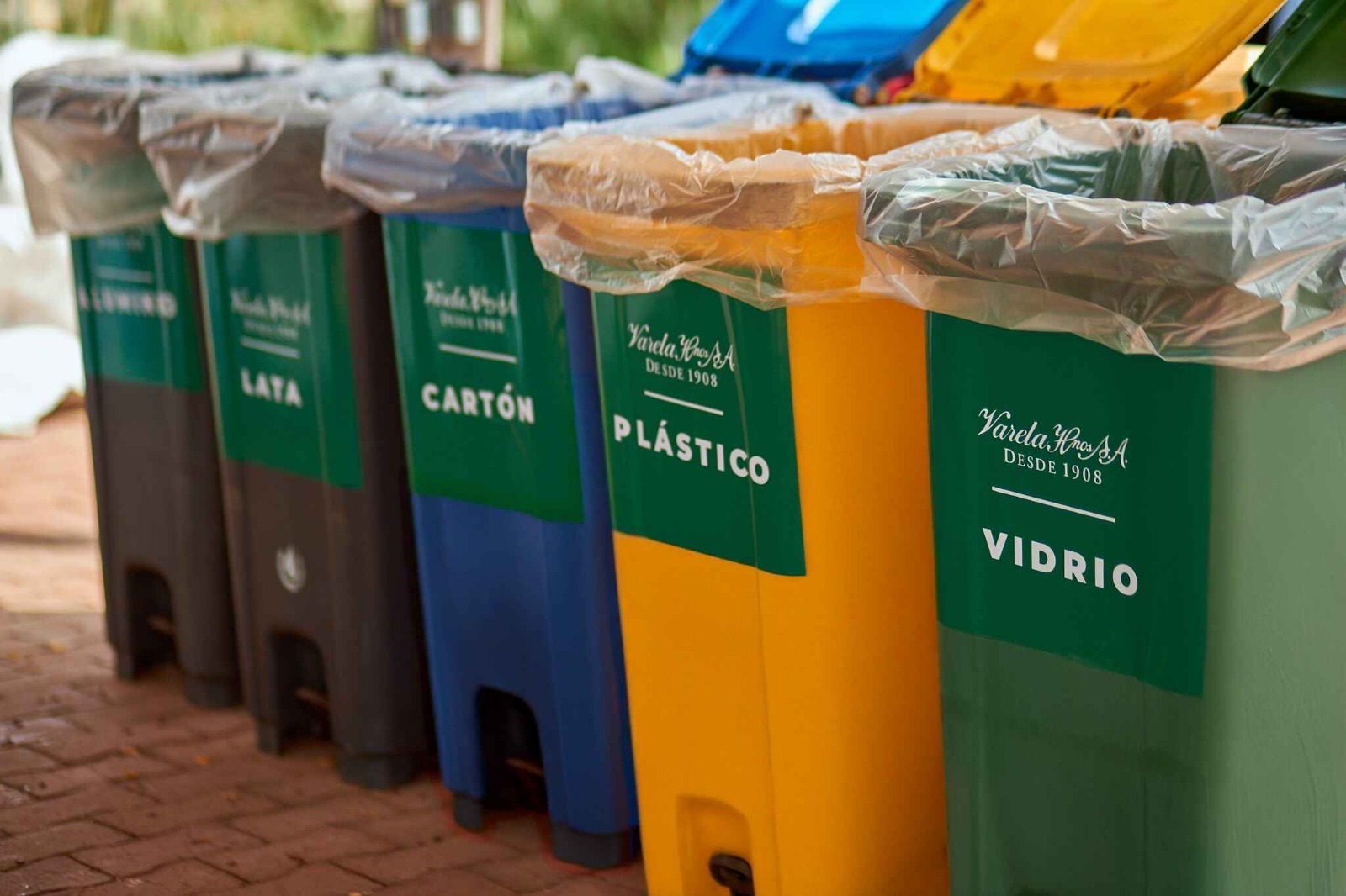 Crecen cifras de reciclaje: residuos recolectados el último año