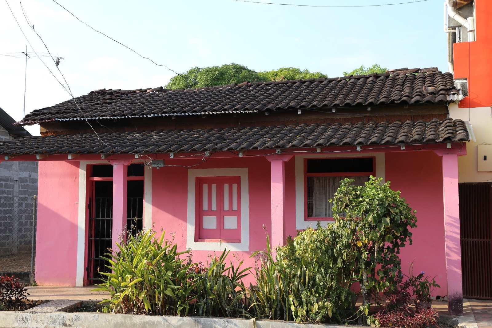 Técnicas de construcción de Casas de Quincha es incluida en la Lista de Salvaguarda Urgente de la UNESCO